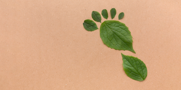 Stivali in Pelle e Sostenibilità: Come Scegliere Materiali Eco-Friendly