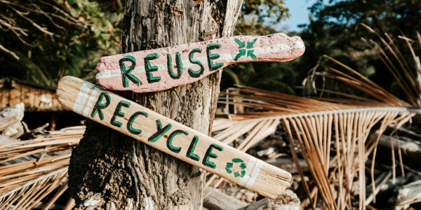 Il futuro della moda sostenibile