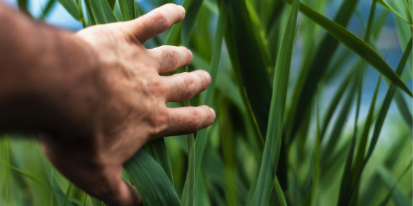 sneakers da donna eco-friendly blog queen helena